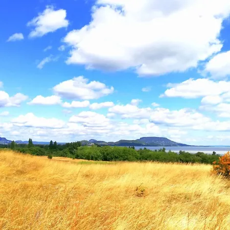 Daire Henye Vintage A Kali-medenceben Balatonhenye
