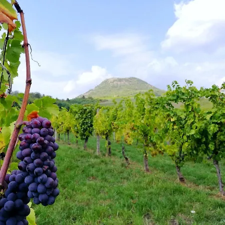 Lejlighed Henye Vintage A Káli-medencében