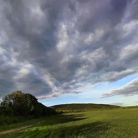 Lejlighed Henye Vintage A Káli-medencében Balatonhenye