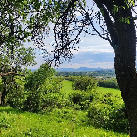 Daire Henye Vintage A Kali-medenceben Balatonhenye