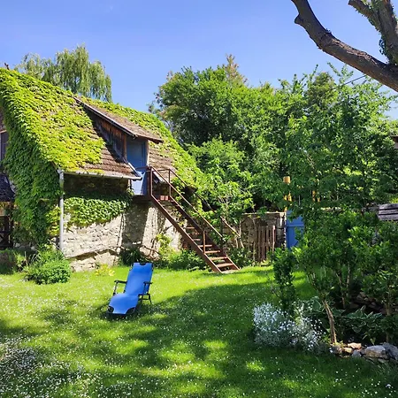 Henye Vintage A Káli-medencében *