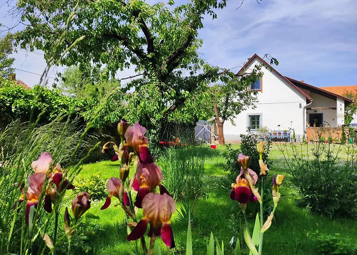 Apartment Henye Vintage A Kali-medenceben Balatonhenye